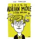 A 13 és 3/4 éves Adrian Mole titkos naplója - Sue Townsend