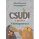 Csudi, a pacsirta - A tél megmentése - Alex Donovici