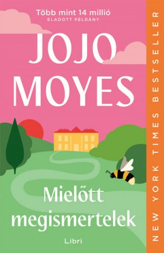 Mielőtt megismertelek - Jojo Moyes