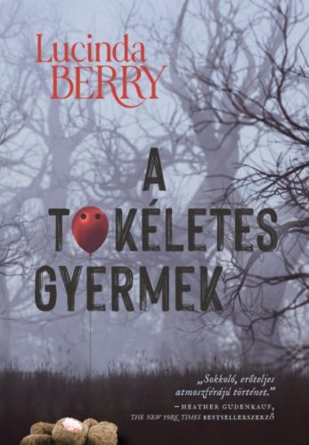 A tökéletes gyermek - Lucinda Berry