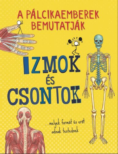 A pálcikaemberek bemutatják - Izmok és csontok