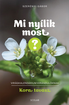 Mi nyílik most? - Kora tavasz - Szerényi Gábor