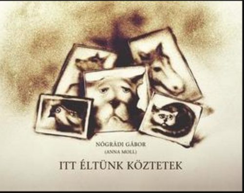 Itt éltünk köztetek - Nógrádi Gábor