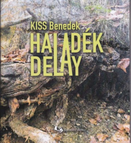 Haladék - Delay - Kiss Benedek