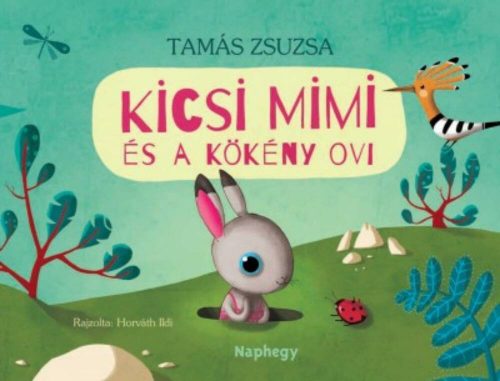 Kicsi Mimi és a Kökény ovi - Tamás Zsuzsa