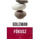 Fókusz - Daniel Goleman - Szépséghibás példány!